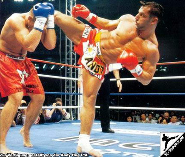  Peter Aerts, Andy Hug (K-1 WORLD GRAND PRIX 1997 FINAL)