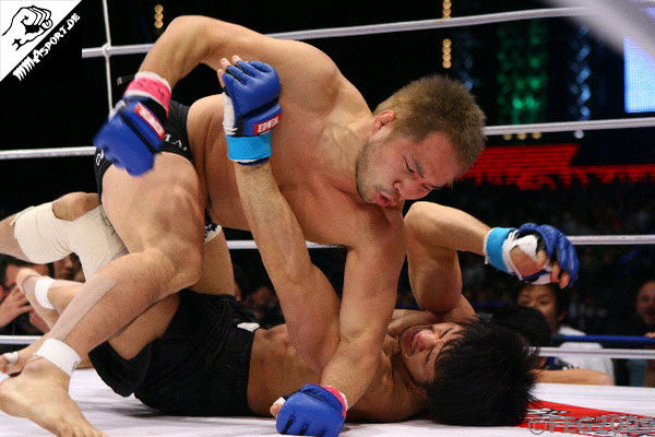 Hayato Sakurai vs. Katsuyori Shibata, Dynamite 2008