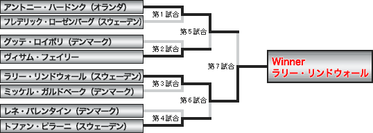 大会の概要 - K-1 Scandinavia Grand Prix 2001 in Kopenhagen