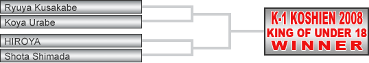 Tournament Overview - K-1 PREMIUM 2008 Dynamite!!