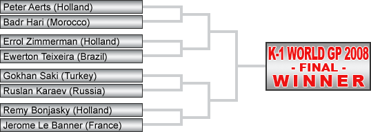 Tournament Overview - K-1 WORLD GRAND PRIX 2008 FINAL