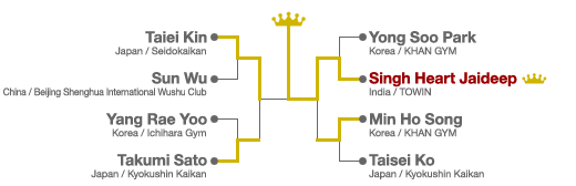 Tournament Overview - K-1 World Grand Prix 2009 in Seoul