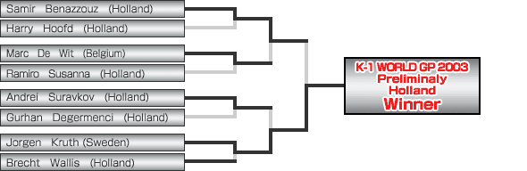 Turnierübersicht - K-1 Holland Grand Prix 2003 in Zoetermeer