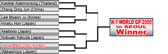 大会の概要 - K-1 World Grand Prix 2005 in Seoul